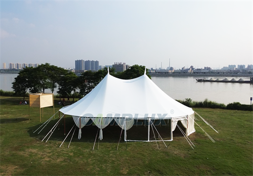 風靡海外！西式草坪撐桿帳篷婚禮，浪漫升級，夢幻啟航